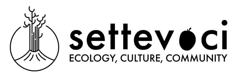 Settevoci Community logo