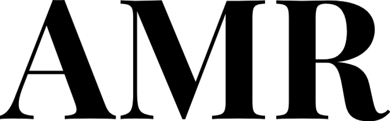 CV Imrane Ammour logo