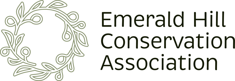 Emerald Hill logo