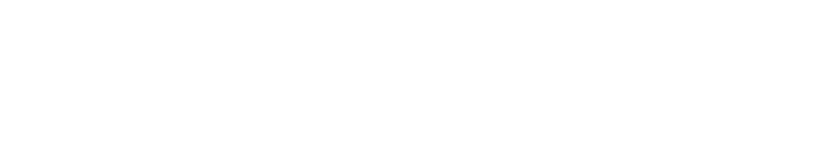 Girdzijauskas.com logo