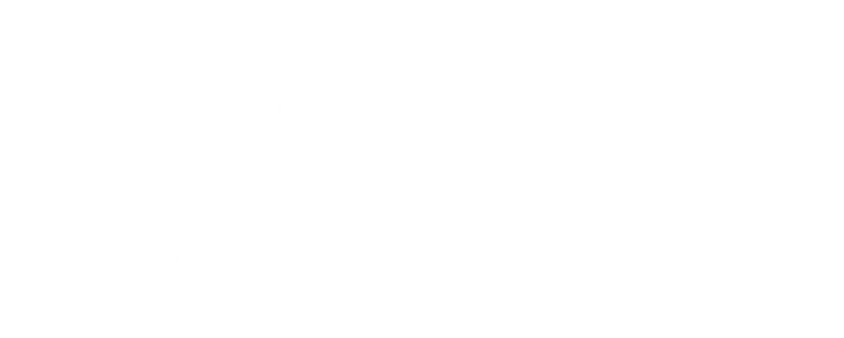 CyberNetDefense Intelligence logo