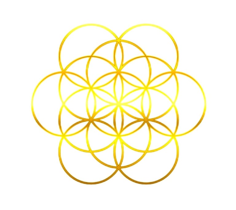 psycedelic guidance logo