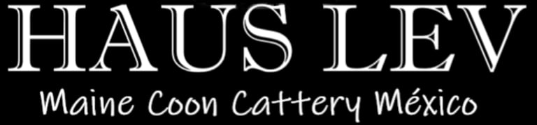 Haus Lev Maine Coon. logo