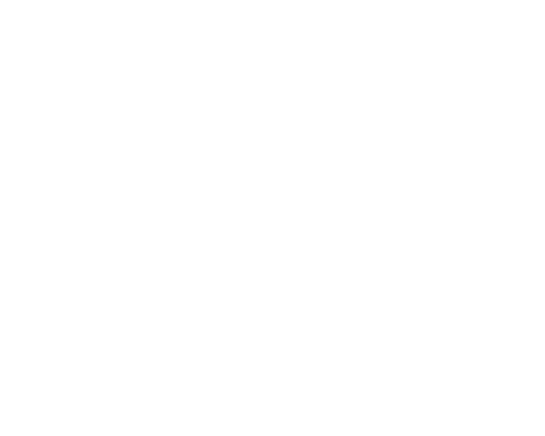 Terra Logic logo