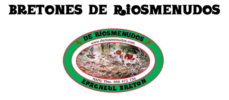 De Riosmenudos logo