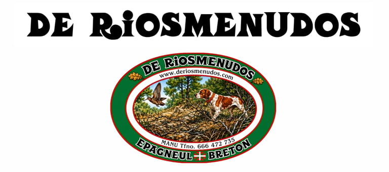 De Riosmenudos logo
