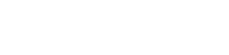 Merlin Supply Chain Consulting logo
