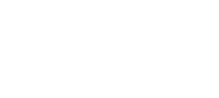 WebsiteLösung logo