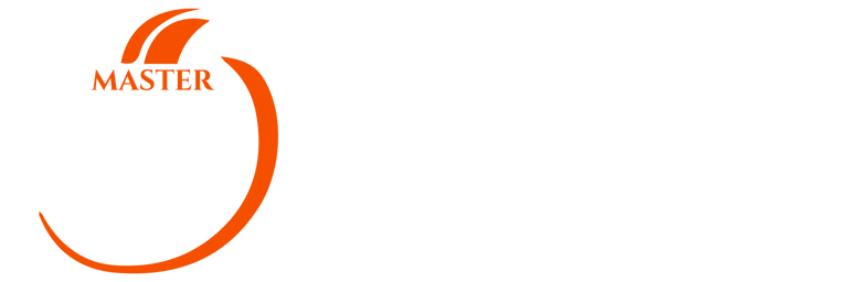 Master Chimneys logo