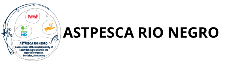 Portal Rio Negro AM logo