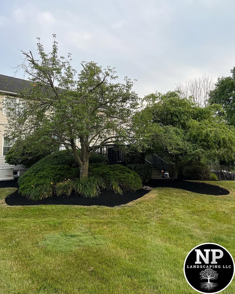 excellent landscaping and hardscaping of grass, stones and trees by NP Landscaping
