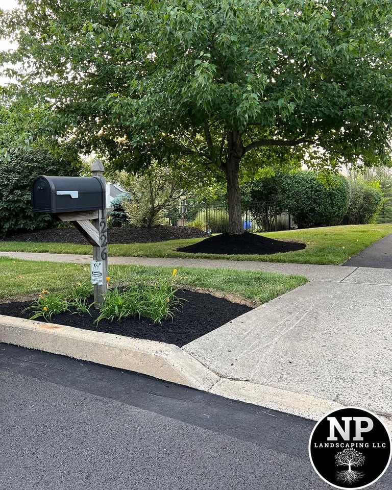 excellent landscaping and hardscaping of grass, stones and trees by NP Landscaping