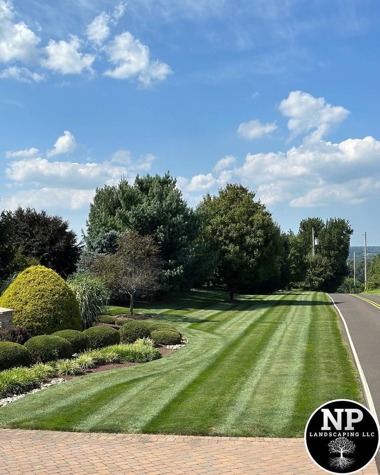 excellent landscaping and hardscaping of grass, stones and trees by NP Landscaping