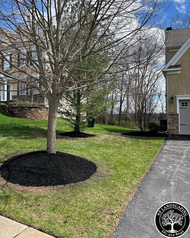 excellent landscaping and hardscaping of grass, stones and trees by NP Landscaping