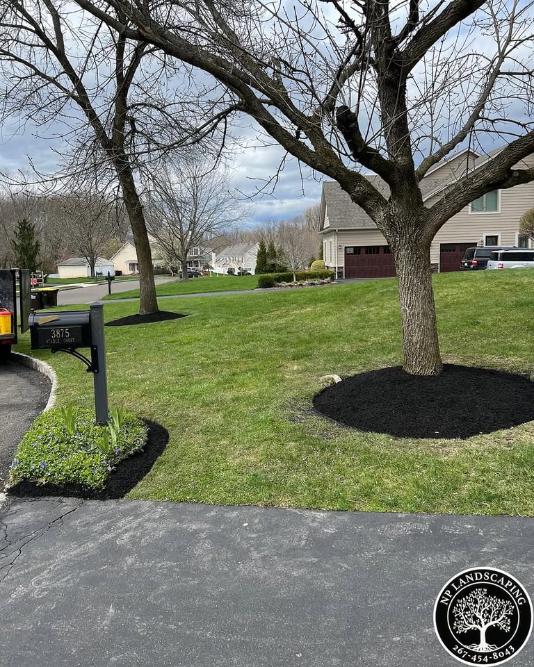 excellent landscaping and hardscaping of grass, stones and trees by NP Landscaping