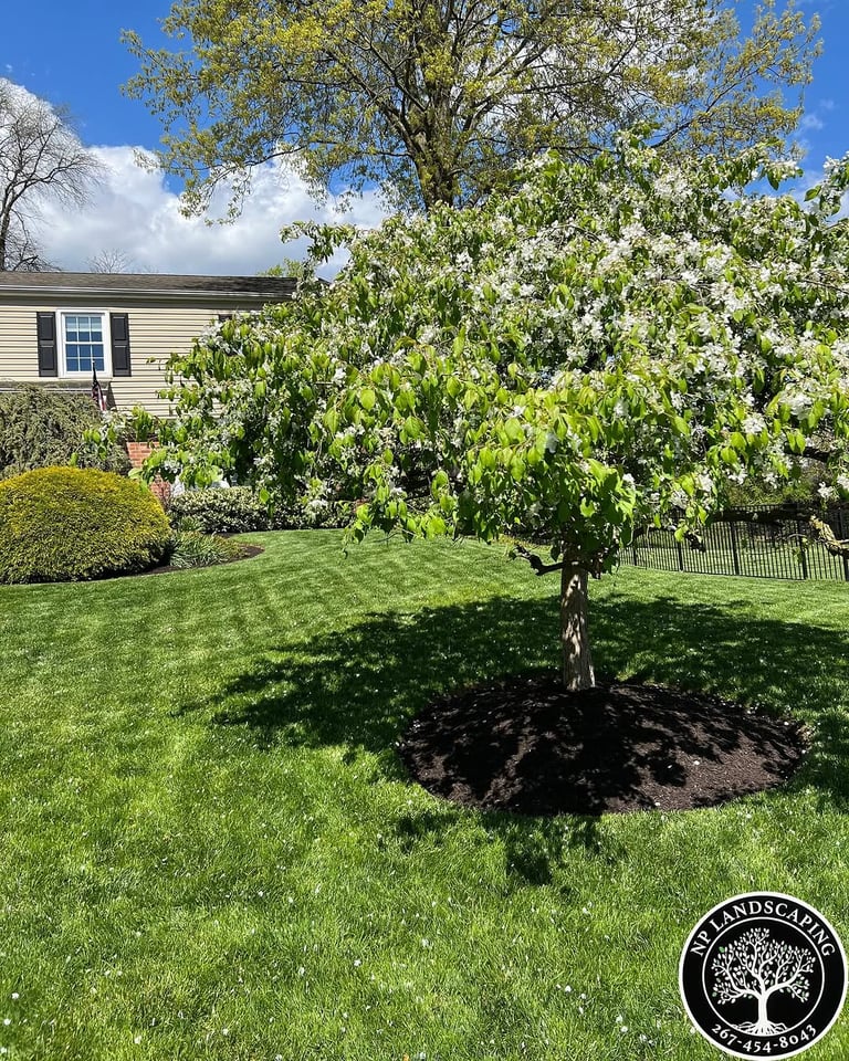 excellent landscaping and hardscaping of grass, stones and trees by NP Landscaping