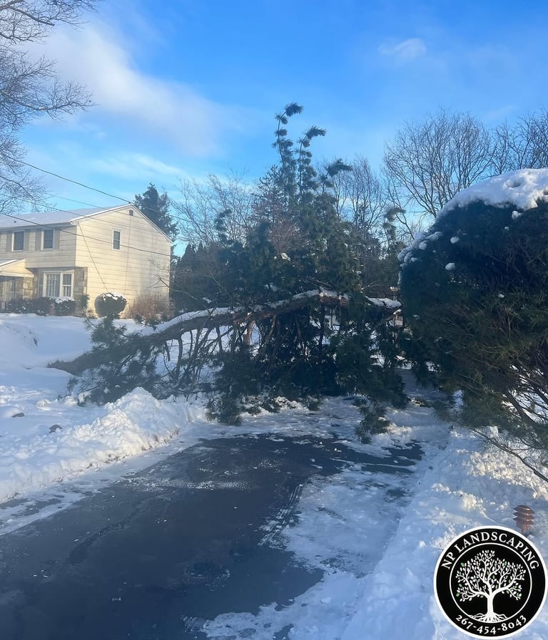 excellent landscaping and hardscaping of grass, stones and trees by NP Landscaping