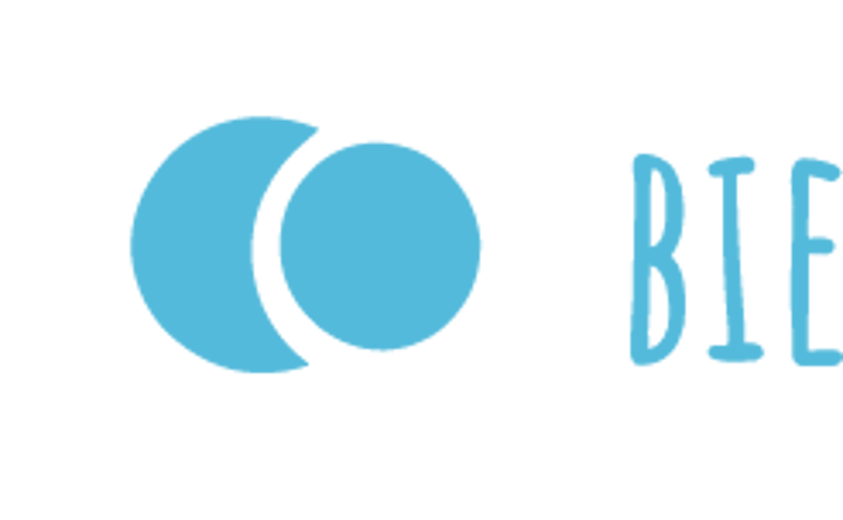 Basic Income Economy logo