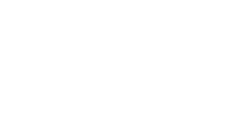 BROMERO IMMIGRATION SERVICES logo