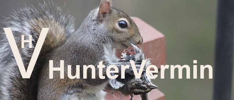 huntervermin logo