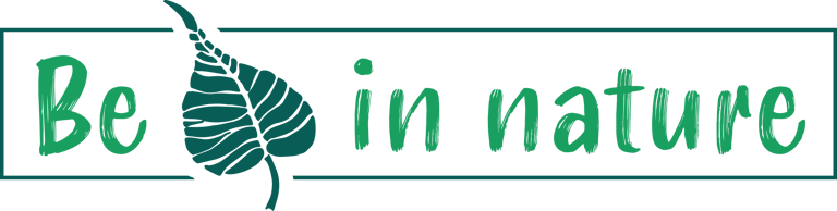 Be in nature logo