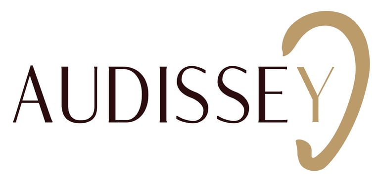 AUDISSEY logo