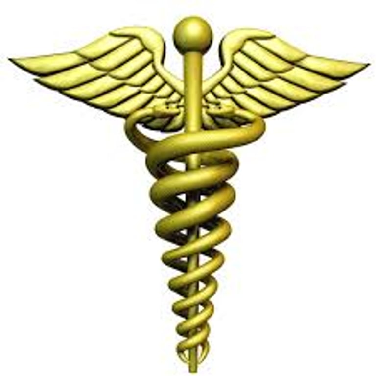 Homeopathy Wellness logo