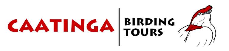 Caatinga Birding Tours logo