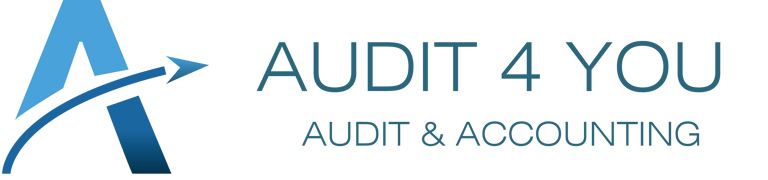 AUDIT 4JU TP Shenasi Bajrami logo
