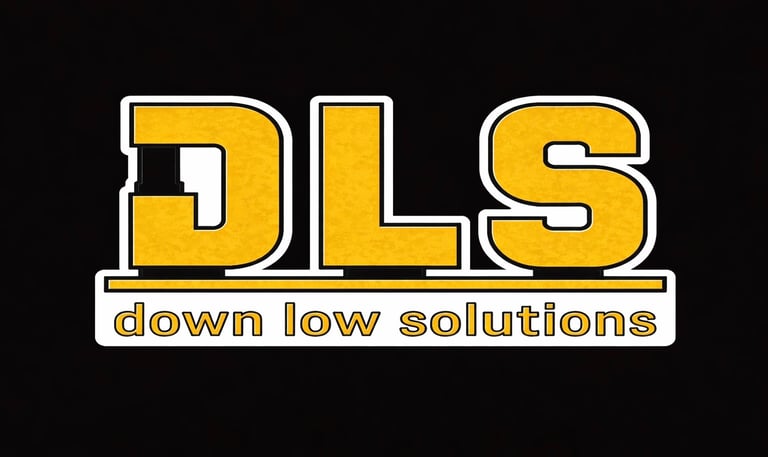 DLS - Down Low Solutions logo