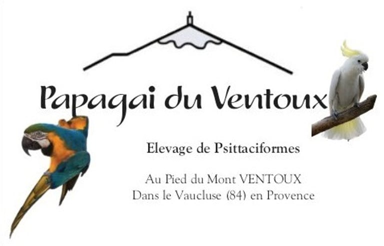 Elevage perroquets logo