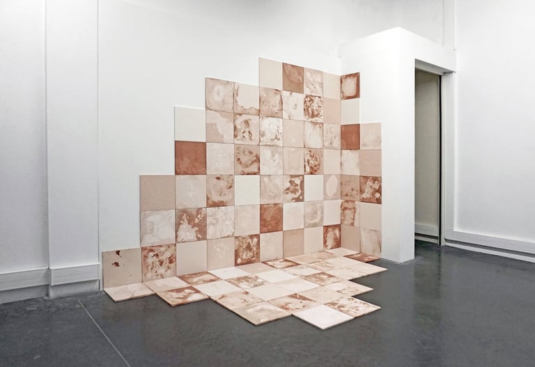 Nelson Aires Solum II 2022