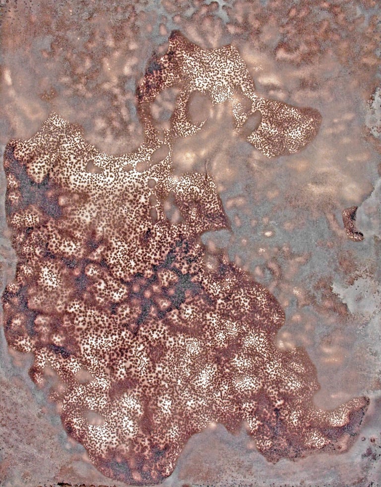 Nelson Aires Alteratio 2019