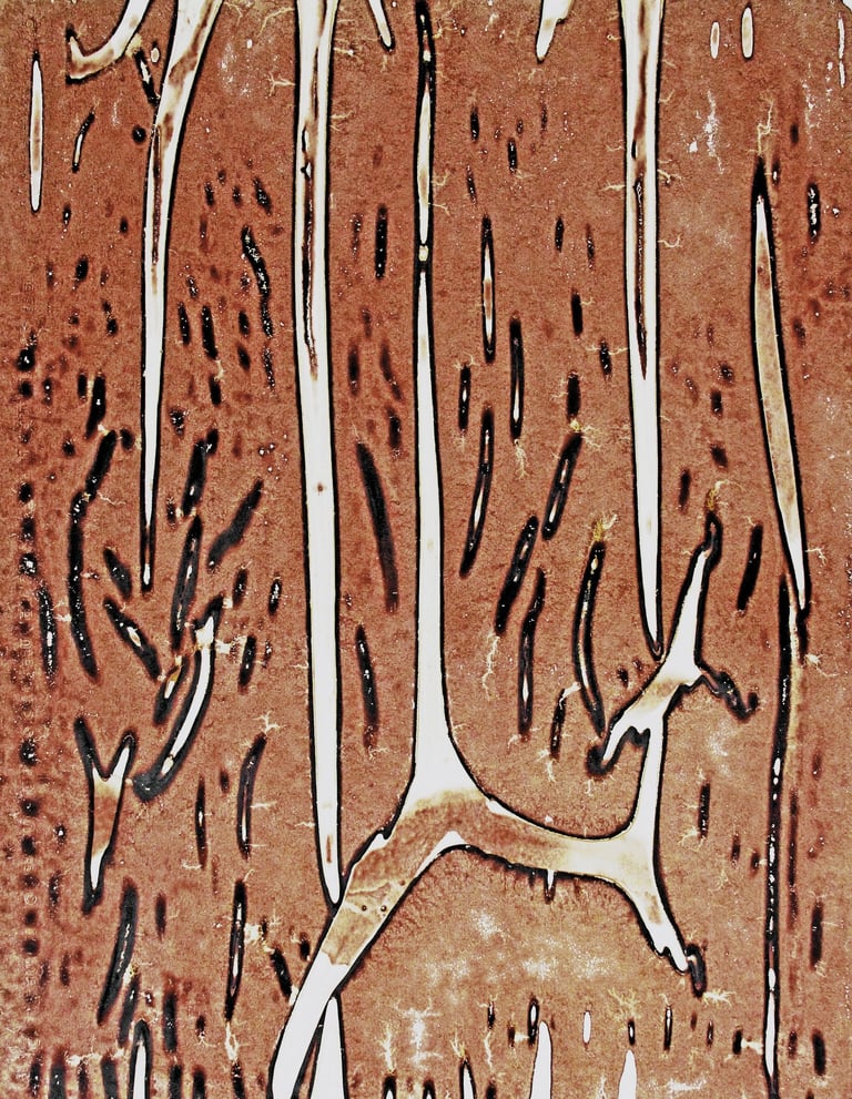 Nelson Aires Sanguis II 2016-2019