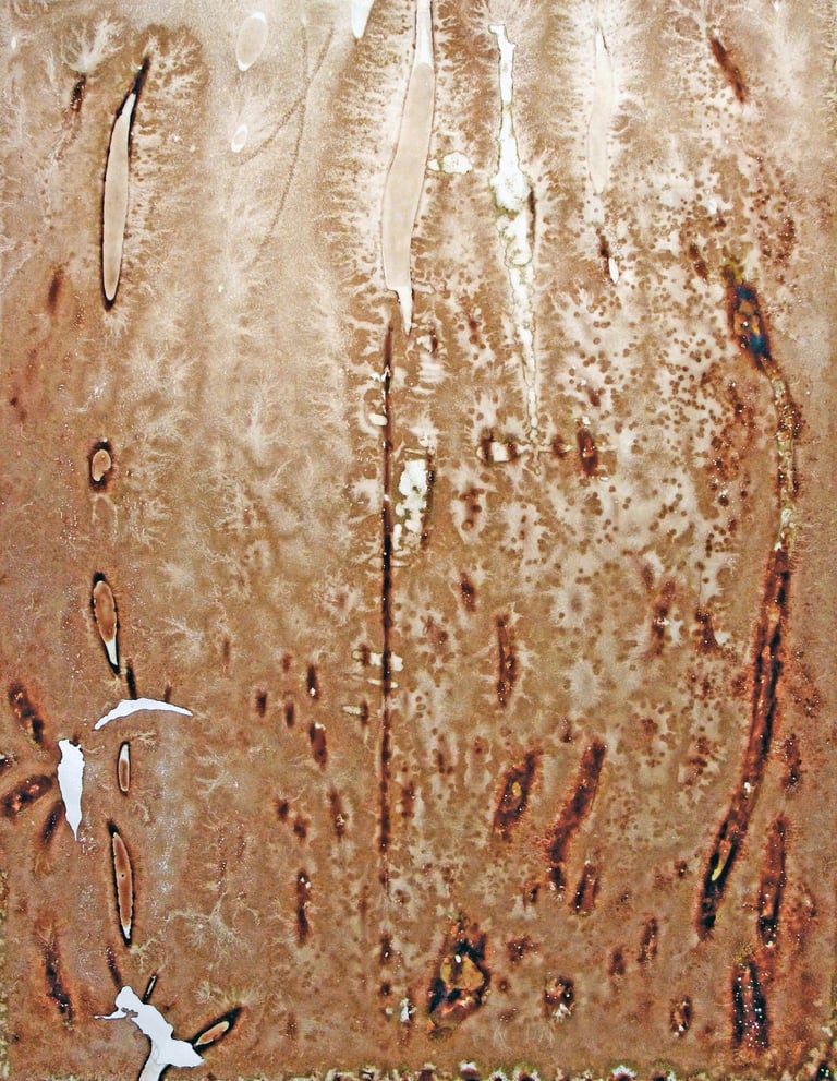 Nelson Aires Sanguis VI 2017-2019