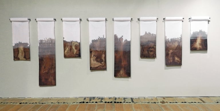 Nelson Aires Stratum 2017