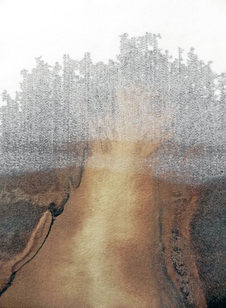 Nelson Aires Stratum 2017