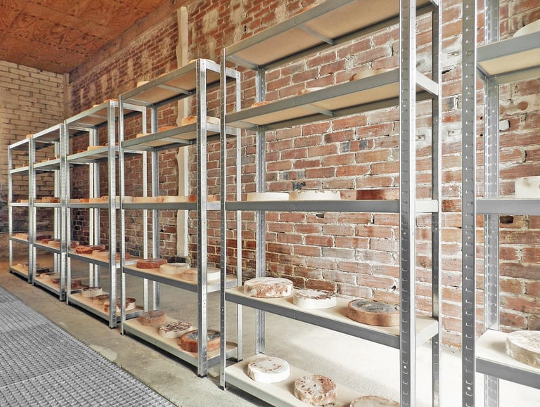 Nelson Aires Topos III 2017