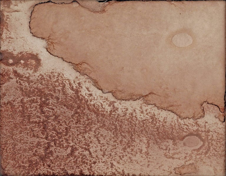 Nelson Aires Bloodline 2017