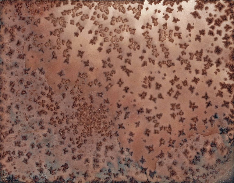 Nelson Aires Bloodline 2017