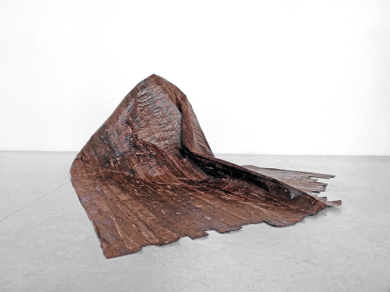 Nelson Aires Derma 2019