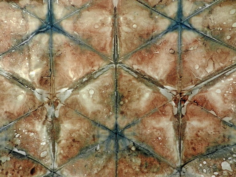 Nelson Aires Resel 2019