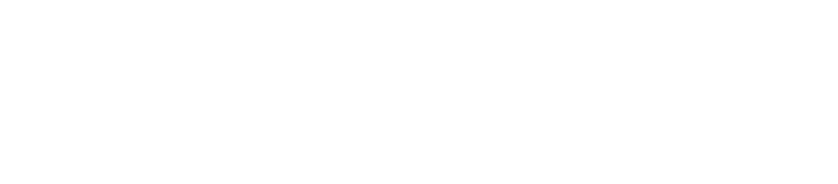 SerkinSolutions logo