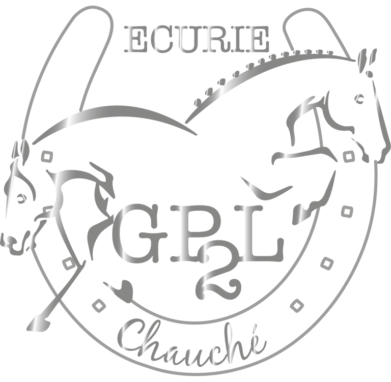 Ecurie de propriétaires GP2L Chauché Vendée logo