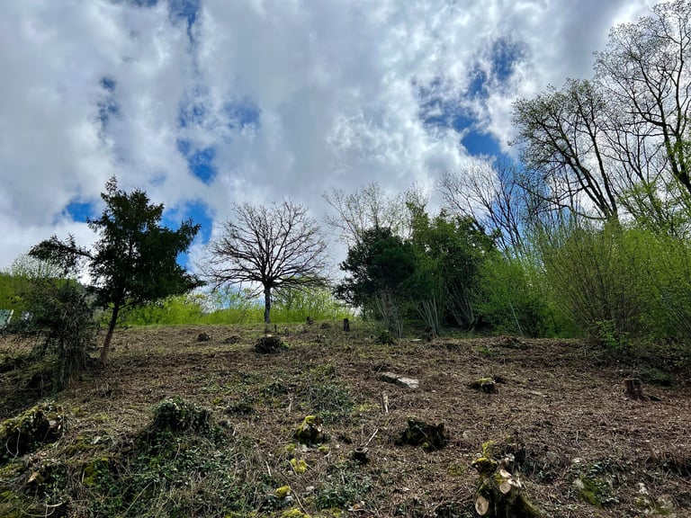 Débroussaillage d'un talus à Verthier 