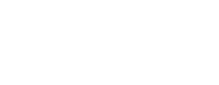 Holistic Wisdom Center logo