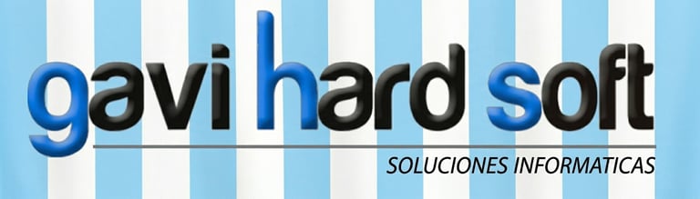 Gavi Hard & Soft logo