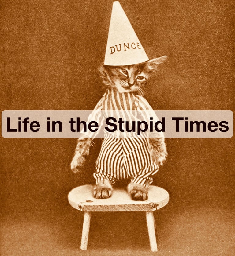 Life in the Stupid Times logo