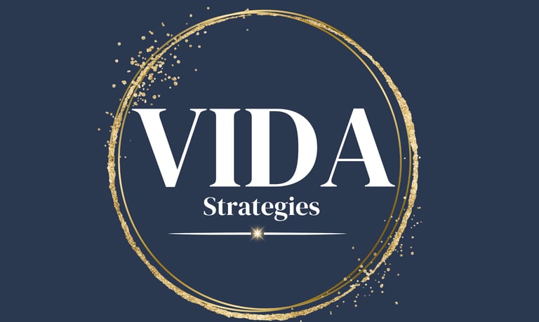 Vida Strategies  logo