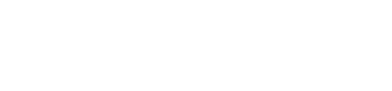 Sandra Silva - MODEL logo